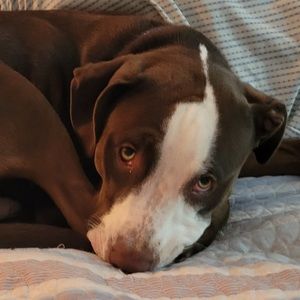 Meet your Posher, Courtney